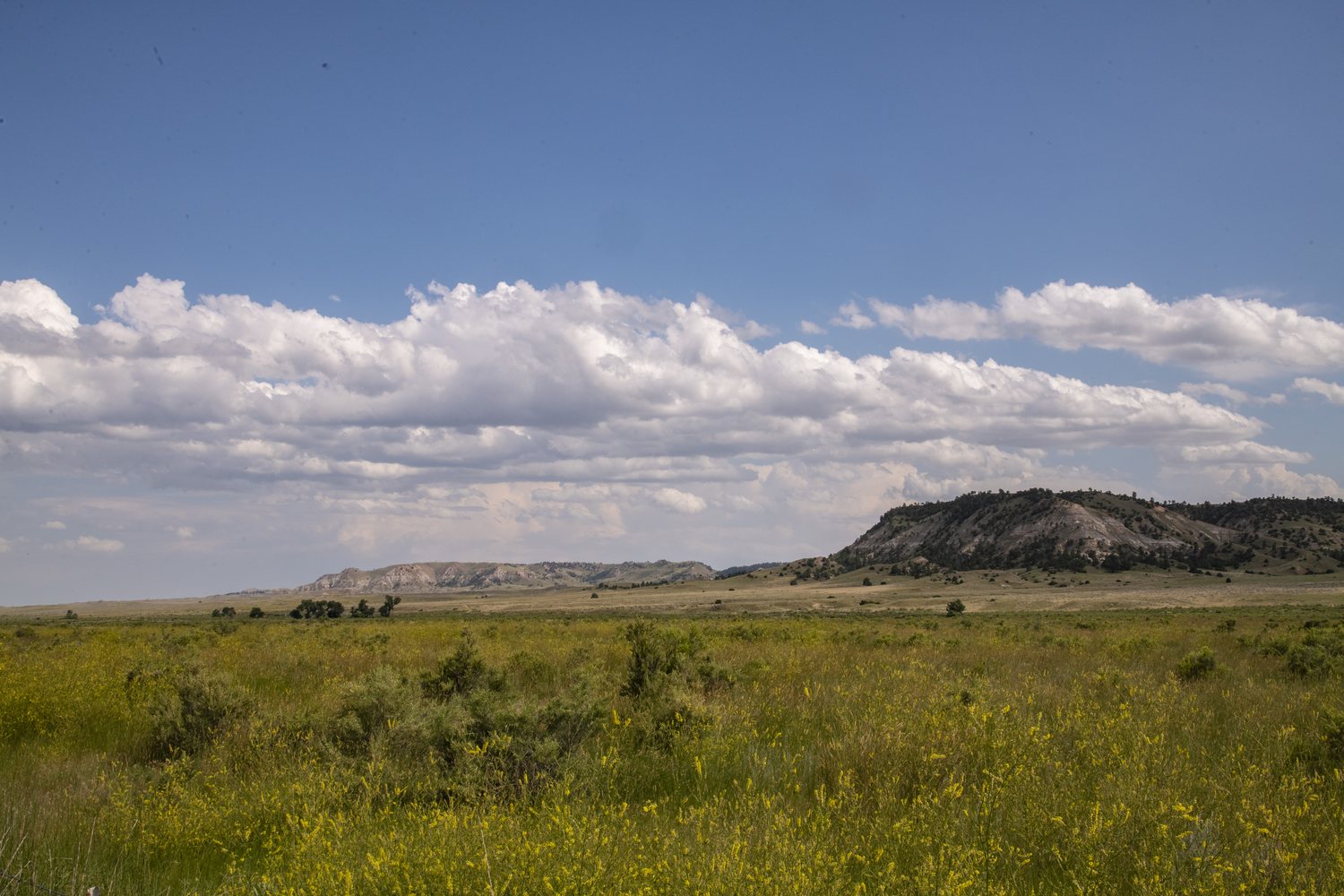 Rolling grassland under cloud in the Thunder Basin National Grassland.